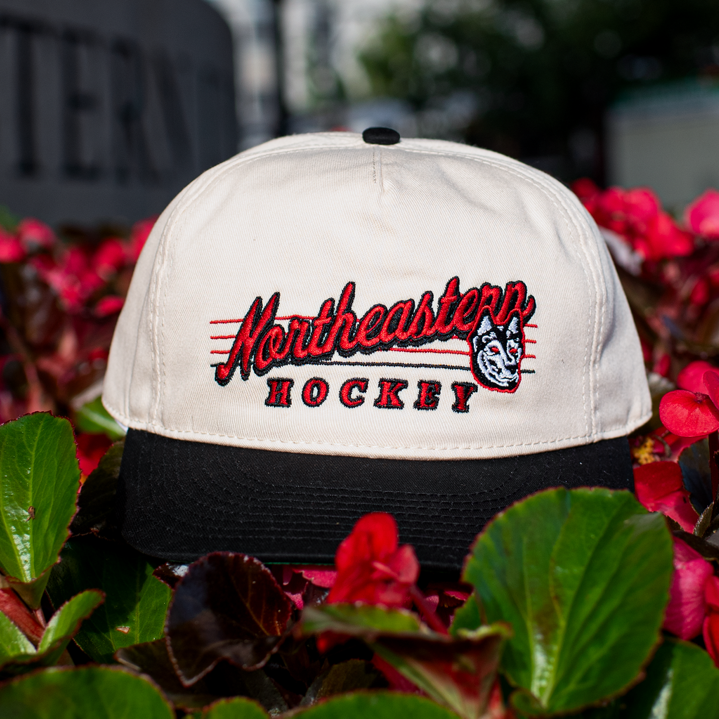 Northeastern Hockey Snapback: Cream