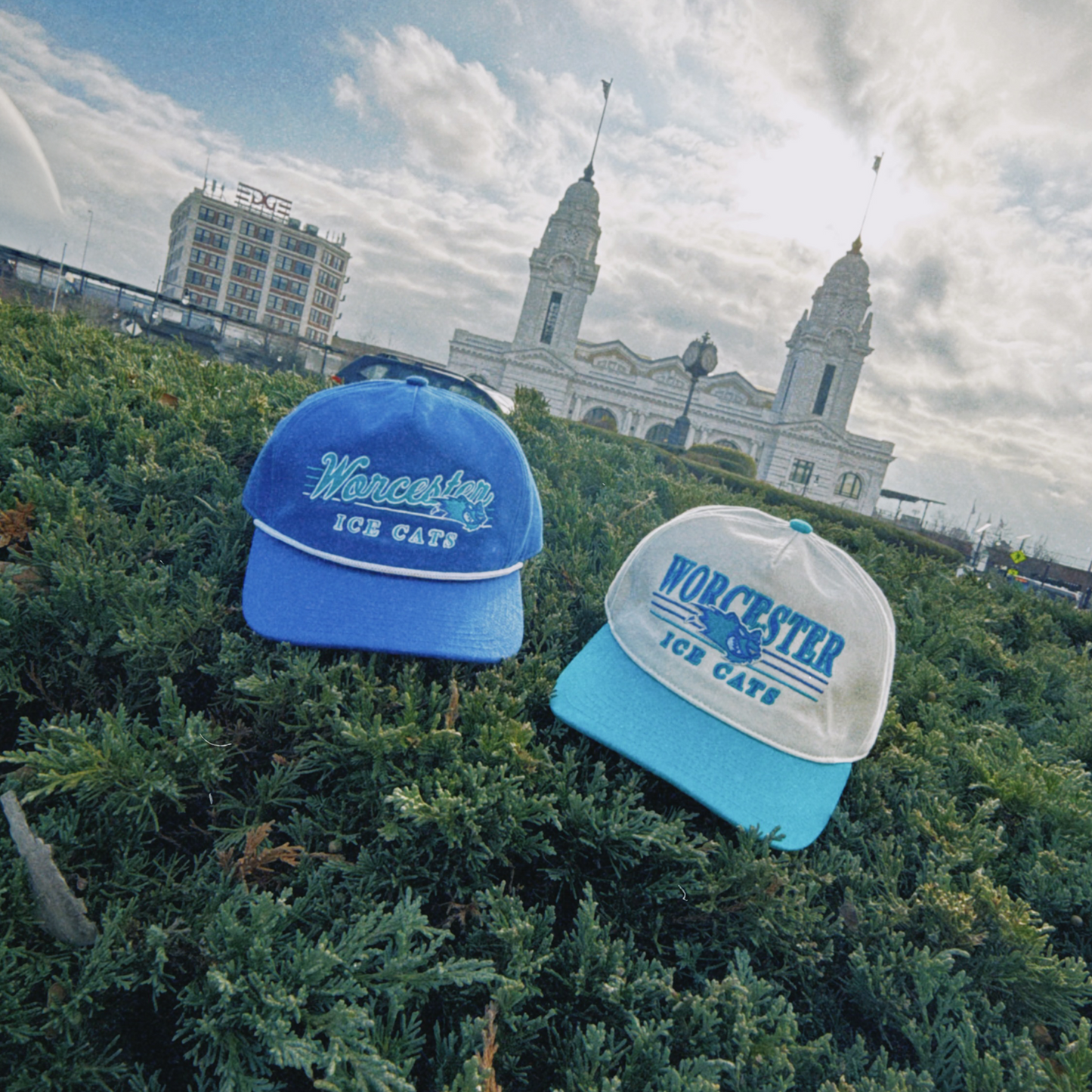 Worcester Ice Cats Snapback: Cream